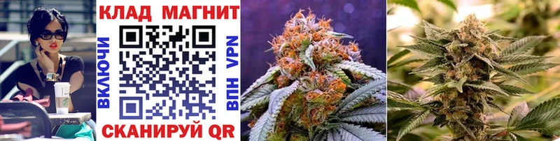 Лсд 25 Кумертау