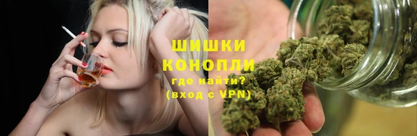 spice Кодинск
