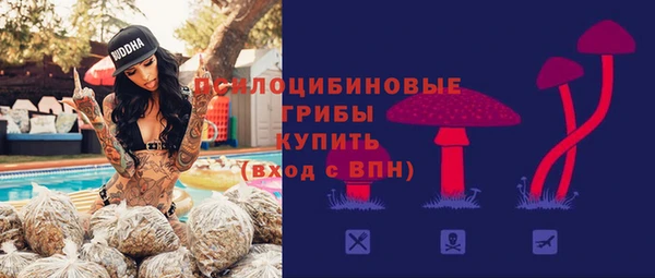 spice Кодинск