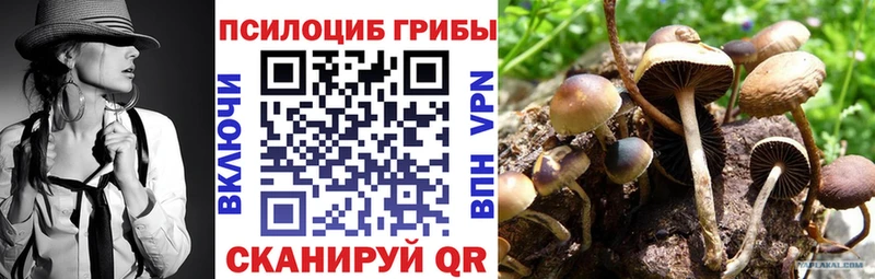 купить  сайты  Кумертау  Галлюциногенные грибы ЛСД 