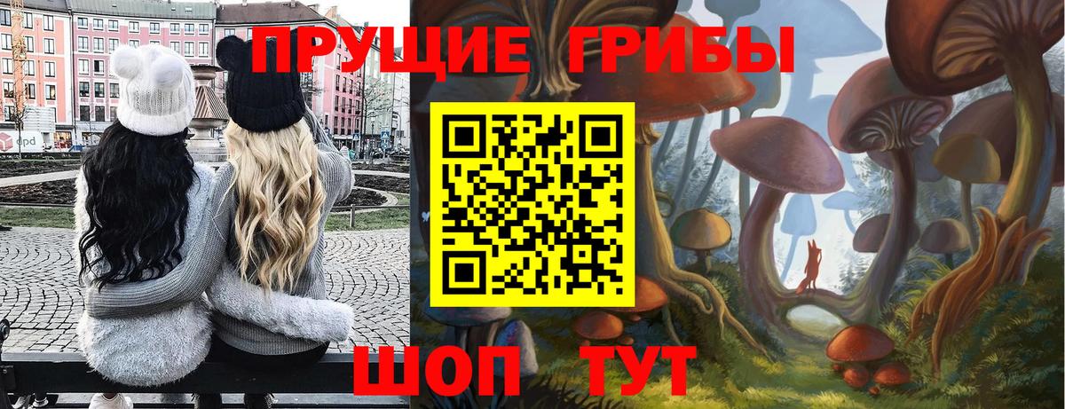 Псилоцибиновые грибы ЛСД  что такое   Галлюциногенные грибы мицелий  Кумертау 