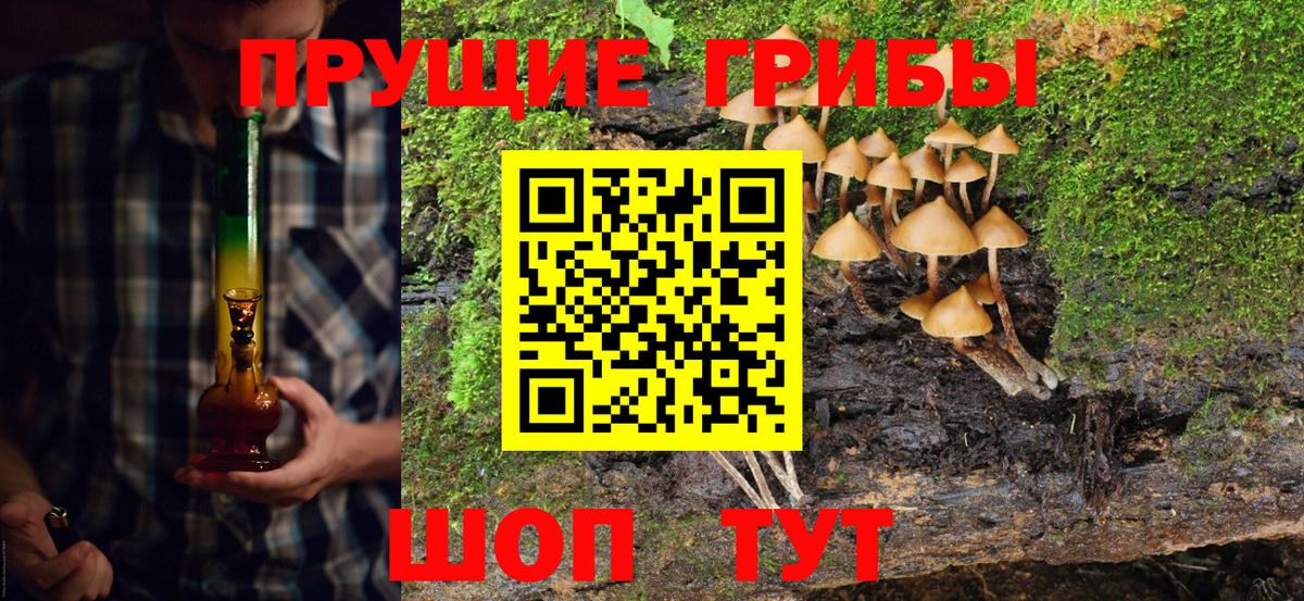 Кумертау  Галлюциногенные грибы Psilocybe  Вход с VPN 